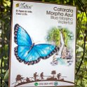 CRI ALA LaFortuna 2019MAY11 Mistico 029 : - DATE, - PLACES, - TRIPS, 10's, 2019, 2019 - Taco's & Toucan's, Alajuela, Americas, Central America, Costa Rica, Day, La Fortuna, May, Mistico Arenal Hanging Bridges Park, Month, Saturday, Year